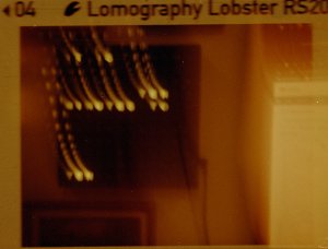 20240702LomoLobsterLomo110-4.jpg